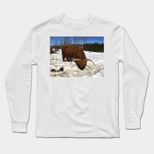 Scottish Highland Cattle Bull 1737 Long Sleeve T-Shirt